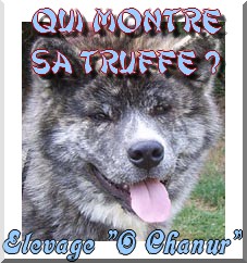 Qui est en ligne ?