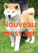Nouveaux messages